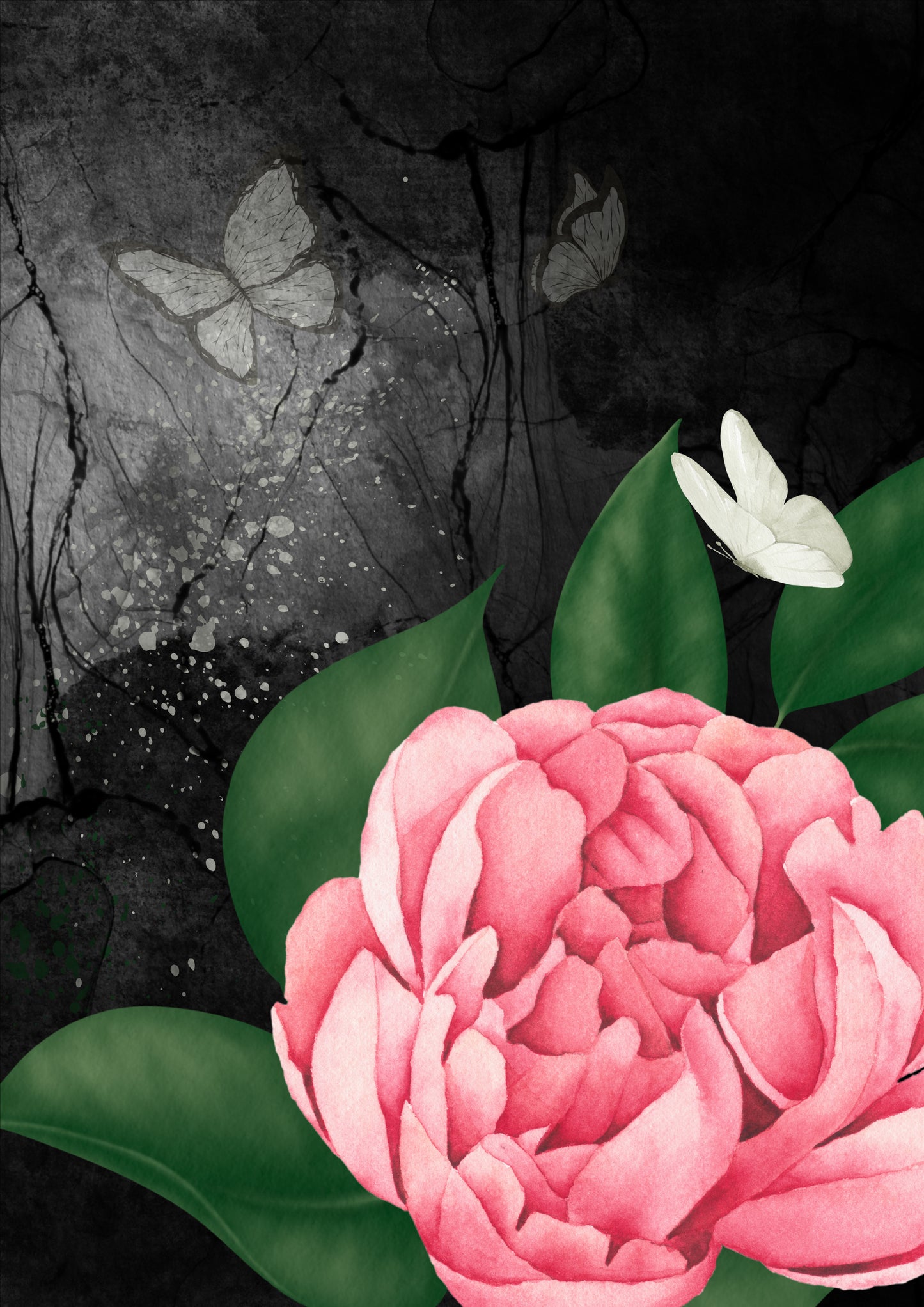 Modern Black Ink Butterfly Flowers Digital Art, Set of 6, Contemporary Wall Art, Printable Download