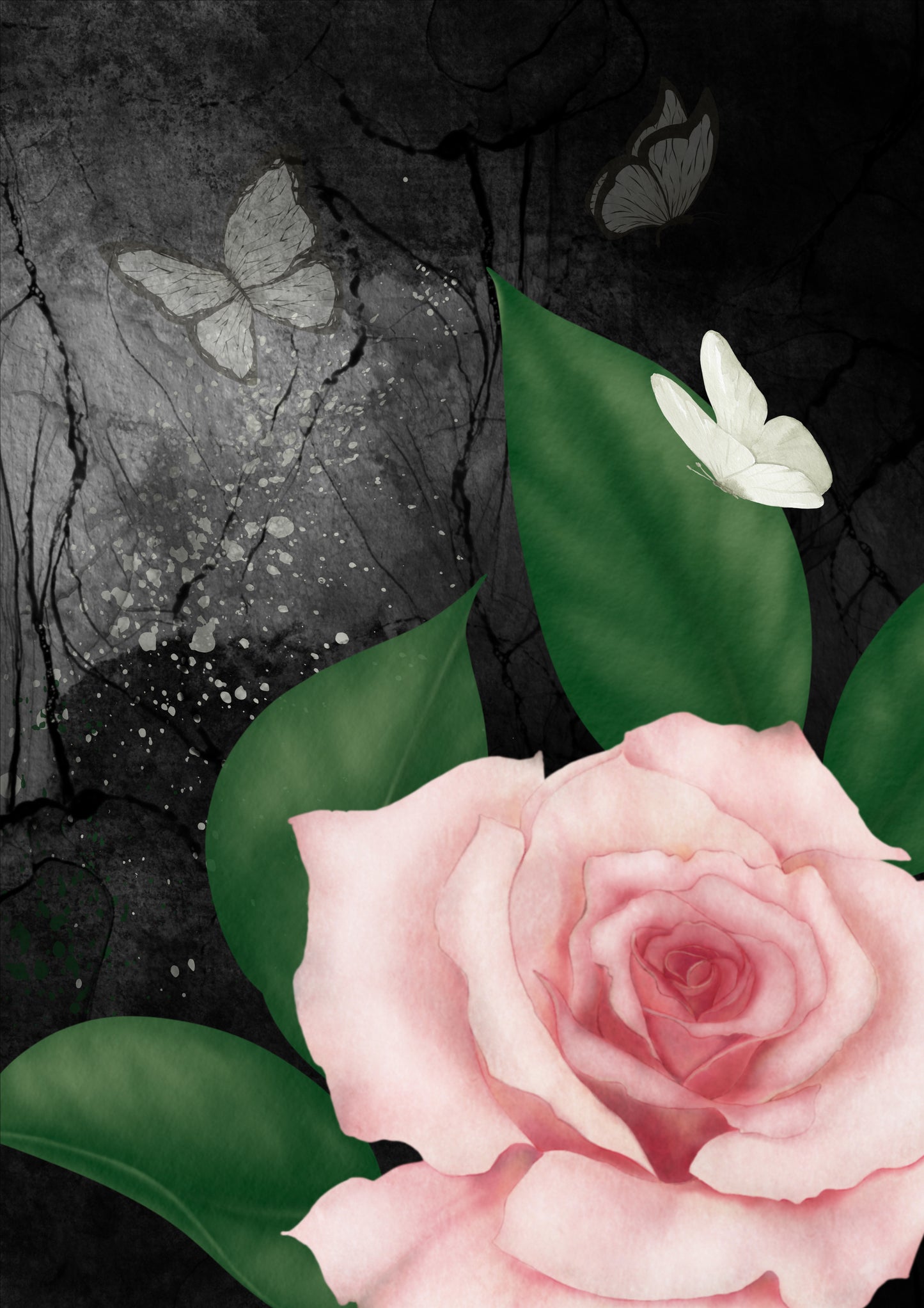 Modern Black Ink Butterfly Flowers Digital Art, Set of 6, Contemporary Wall Art, Printable Download