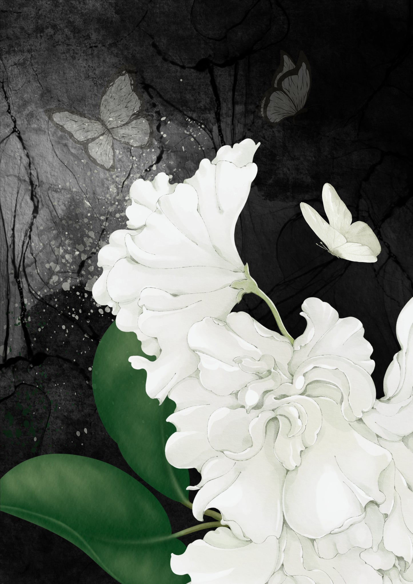 Modern Black Ink Butterfly Flowers Digital Art, Set of 6, Contemporary Wall Art, Printable Download