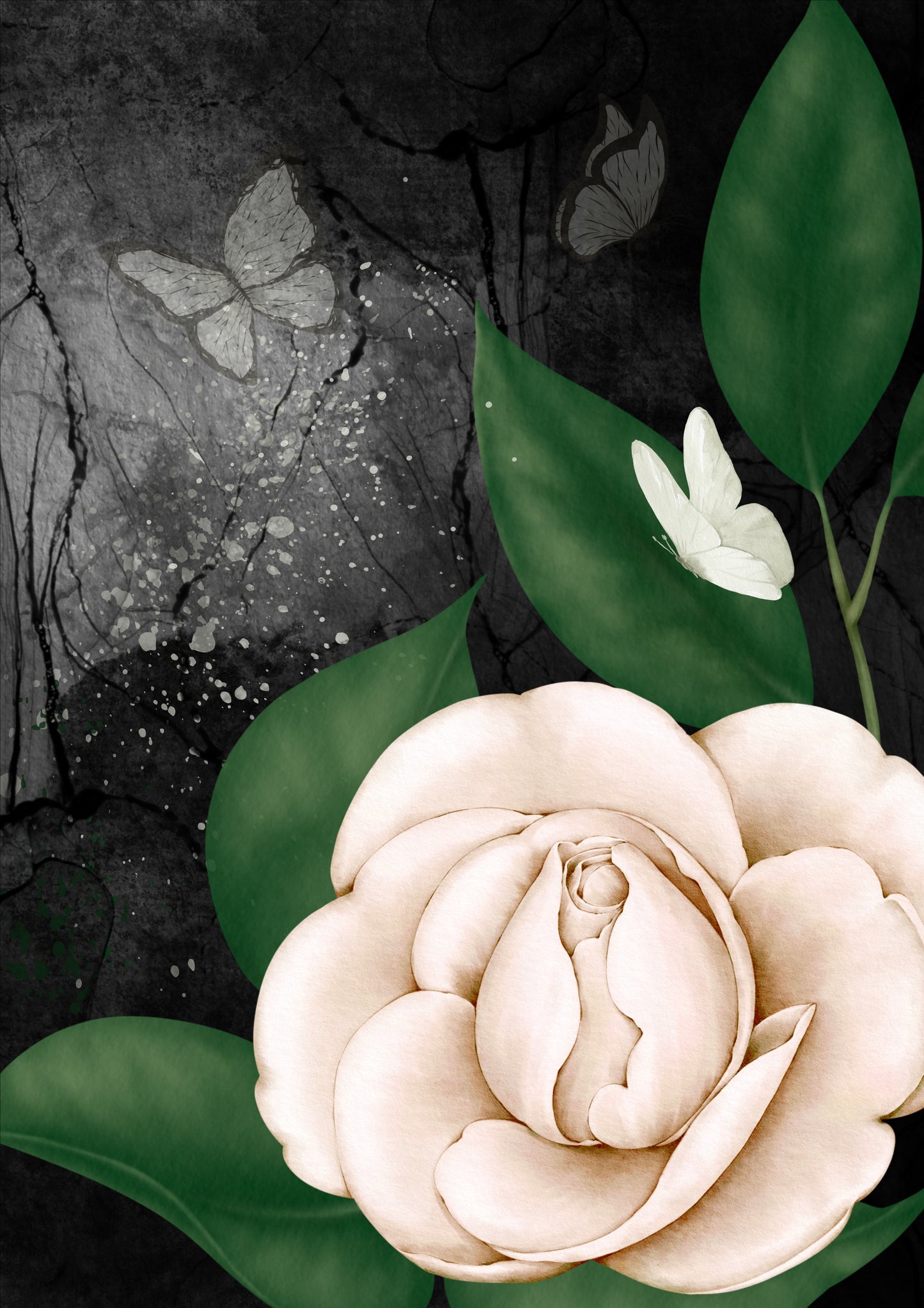 Modern Black Ink Butterfly Flowers Digital Art, Set of 6, Contemporary Wall Art, Printable Download